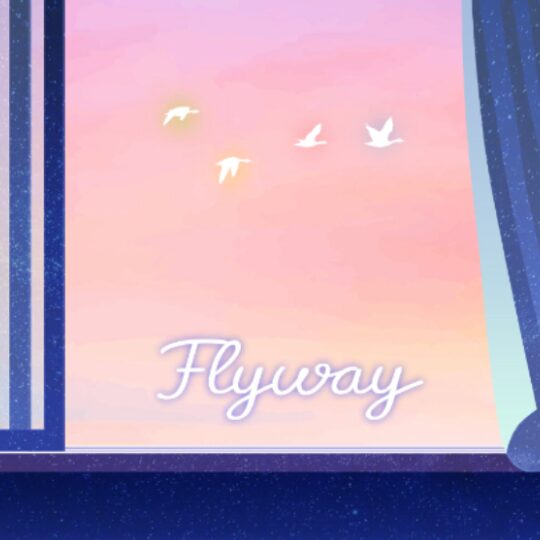 Flyway